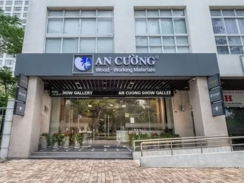 Một doanh nghiệp ngành gỗ bị chi phí bào mòn tới 70% lợi nhuận