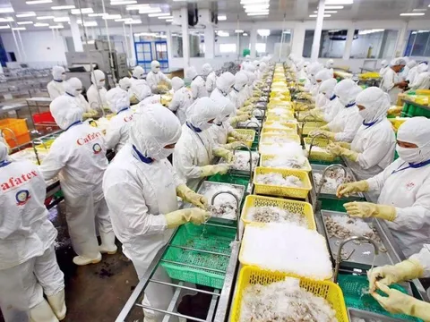 Đơn hàng giảm, doanh nghiệp thủy sản tìm giải pháp "lội ngược dòng"