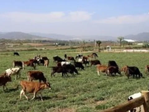 5 khu vui chơi trẻ em ở Đà Lạt đáng đi nhất dịp 30/4