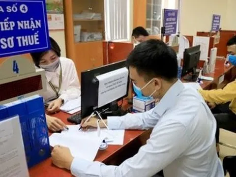 Nhiều khoản thu thuế trọng yếu giảm sút, có lĩnh vực giảm 50%