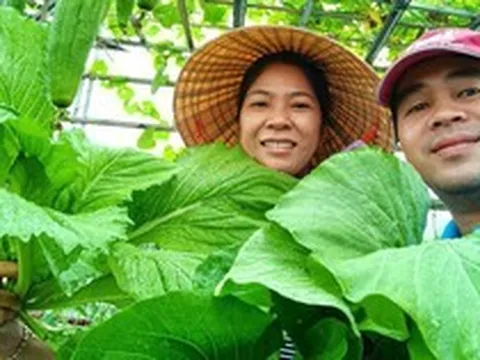 Khu vườn sân thượng 70m2 trĩu nặng rau quả từ căn nhà phố ở Bình Thuận