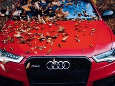 Có thể bạn chưa biết: Để lá cây rụng nhiều trên ô tô có thể khiến xe bị hư hỏng nặng nề