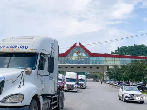 Cảnh giác trước giấy chứng nhận xuất khẩu nông sản giả mạo