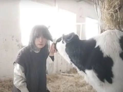 Chuỗi ngày ám ảnh của "Lý Tử Thất" Nhật Bản kiếm đến hơn 3 tỷ/năm