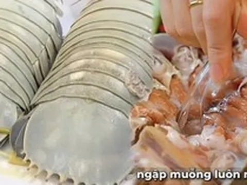 Con bọ biển - món ăn được nhiều người săn tìm ở khắp hàng quán đến vựa hải sản với giá vài triệu/con, nhưng liệu có đáng?