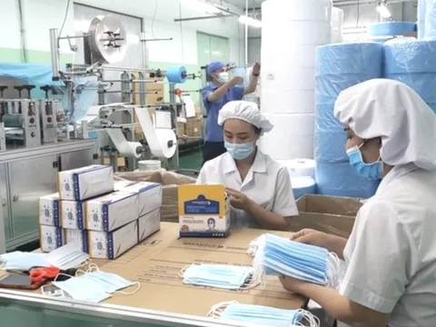 Cổ phiếu bị cảnh báo, Danameco lỗ gần 24 tỷ trong 3 tháng đầu năm