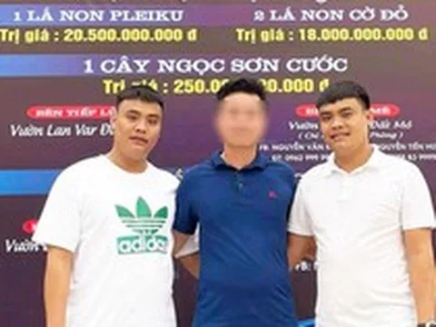 Hai anh em đại gia lan 'đột biến' thu lợi hàng trăm tỷ đồng từ mua bán than lậu