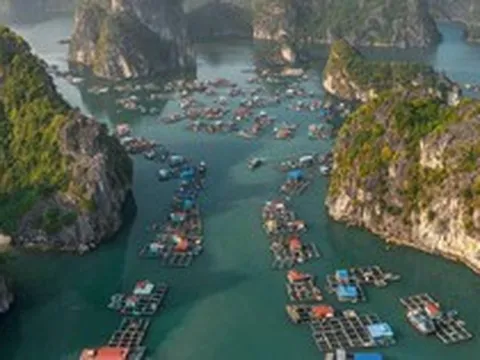Loạt điểm đến Việt Nam được chuyên trang nước ngoài ca ngợi: Cái tên ở TP.HCM và Cát Bà nhiều người chưa biết