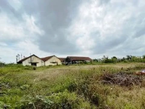 Nhân viên công ty lâm nghiệp bị 'om' lương hàng tỷ đồng