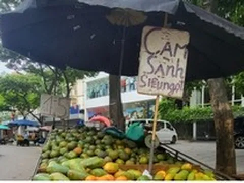 Xe hàng hoa quả kềnh càng, lấn chiếm đường phố Hà Nội để kinh doanh