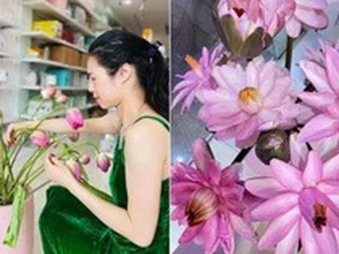 Mẹ 1 con chia sẻ kinh nghiệm dưỡng hoa, bông nào bông nấy nở đều tăm tắp