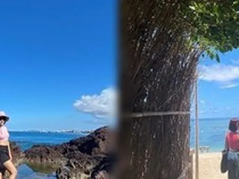 Bỏ chốn thị thành, cô gái trẻ cầm tháng lương cuối cùng ra đảo sống