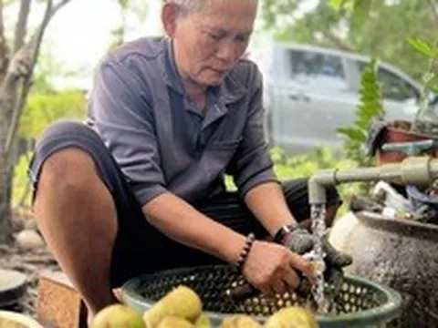 Nhiều người ở Bình Dương trúng đậm nhờ măng cụt gây sốt mạng xã hội