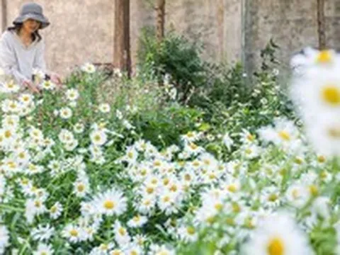 Khu vườn đẹp như chốn thần tiên do người phụ nữ dành 16 năm chăm sóc