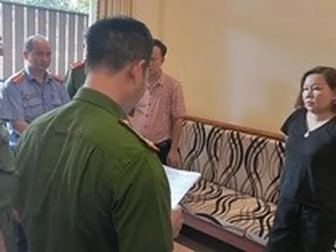 Trốn thuế nhiều tỉ đồng, nữ giám đốc bị bắt giam