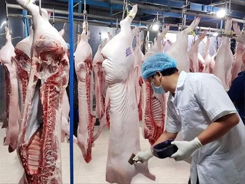 Vì sao đưa thịt lợn vào danh mục bình ổn giá?