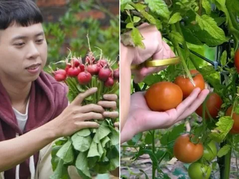 Thanh niên nhớ quay quắt vị cơm tấm, bún bò khi bỏ phố, tiết lộ 3 điều phải lường trước nếu chọn sống ở quê