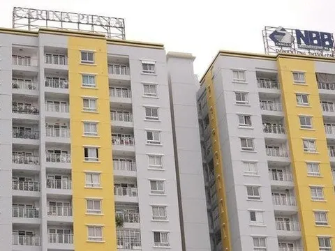 Năm Bảy Bảy bất ngờ huỷ phương án chào bán 50 triệu cổ phiếu
