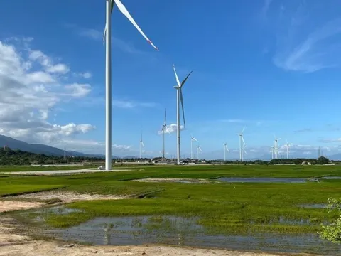 Điện sạch kêu cứu và trách nhiệm của Bộ Công Thương