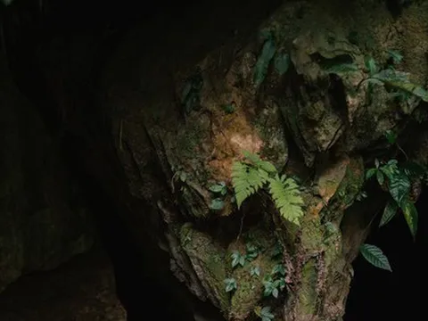 Khám phá hang Bó Mỳ - điểm đến ít biết ở Hà Giang