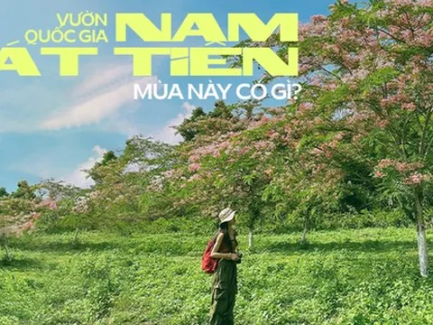 Vườn quốc gia Nam Cát Tiên đang xuất hiện cảnh quan gì mà người TP.HCM kéo nhau xuống Đồng Nai cho bằng được?