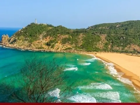 Khám phá cảnh quan tuyệt vời của những cù lao biển đẹp nhất Việt Nam