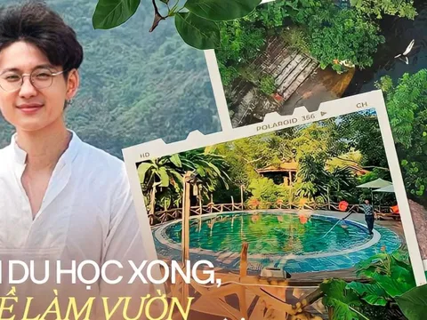 Bỏ lương hơn 200 triệu đồng/tháng ở Mỹ, chàng trai về quê khởi nghiệp cùng “ông bố điên”: Khó khăn chồng chất, có những ngày trong túi không đủ tiền mua bát phở