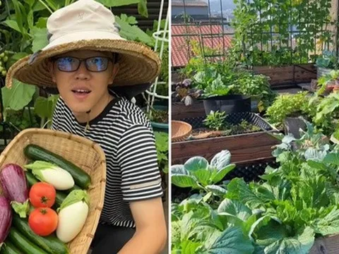 Anh chàng độc thân biến sân thượng rộng 100m2 thành vườn rau sạch