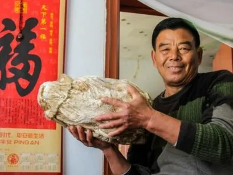 Nhặt được tảng đá mềm như bông, lão nông ngỡ ngàng khi chuyên gia nói thứ này quý hơn vàng