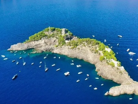 Cận cảnh đảo cá heo độc nhất thế giới, mỗi lần chỉ đón 12 du khách ghé thăm