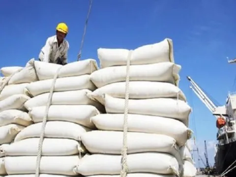 Xuất khẩu gạo Việt Nam: Những con số và bài toán bền vững