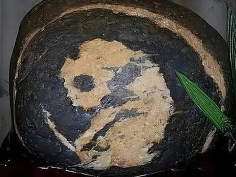 Nhặt được hòn đá có hình gấu trúc, người đàn ông vô tình mang “kho báu” hơn 300 trăm tỉ về nhà