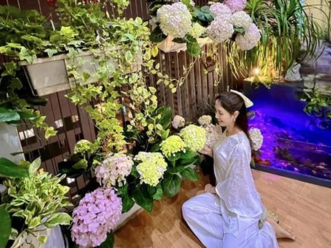 Mẹ đảm biến góc ban công 4m2 thành nơi đủ hoa và bể cá mà vẫn thoáng đẹp