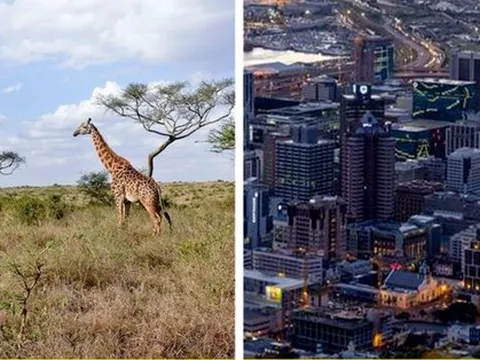 Bảy đặc điểm phổ biến về các quốc gia trên thế giới