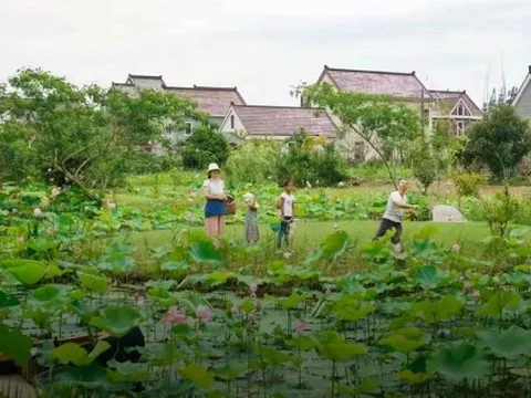 Bán nhà thành phố, đôi vợ chồng Trung Quốc về quê mua mảnh đất hoang 12.000m2 sống “tự cung tự cấp”: Tự do về cả vật chất lẫn tinh thần