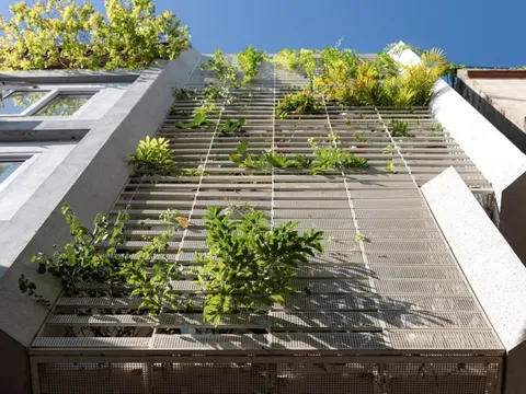 Ấn tượng với ngôi nhà dùng cây xanh chống nóng