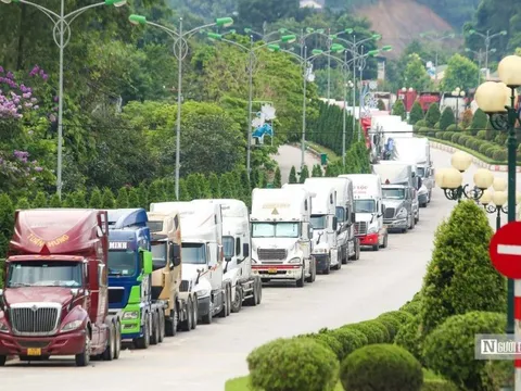 Không để tái diễn tình trạng nông sản bị ùn ứ tại cửa khẩu