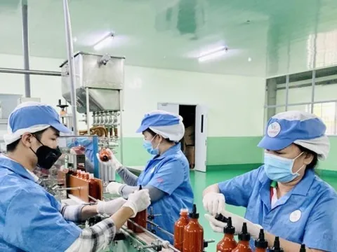 Vốn nước ngoài đổ vào Bình Phước tăng gấp 12 lần