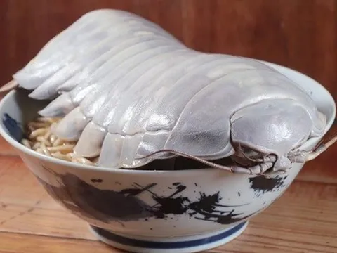 Món mì ramen kết hợp bọ biển khổng lồ thu hút thực khách
