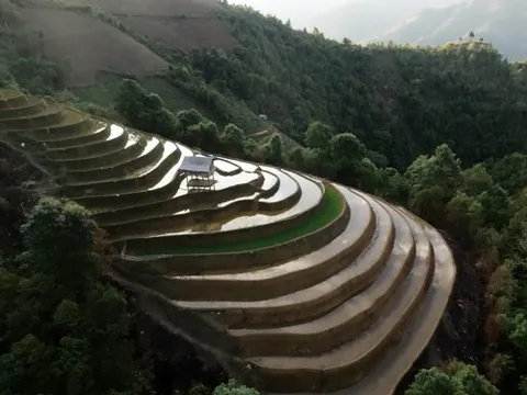 Những thửa ruộng bậc thang 'hớp hồn' du khách trơ trụi vì nắng hạn.