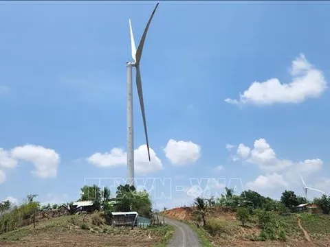 Gia Lai yêu cầu dừng vận hành thử nghiệm dự án điện gió Ia Le 1