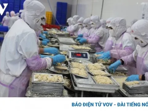 Xuất khẩu sẽ phục hồi trong 6 tháng cuối năm 2023?