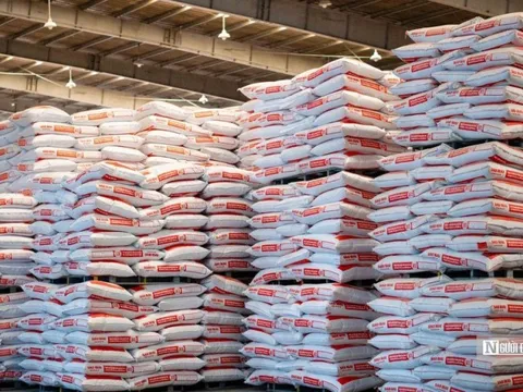 Dấu ấn đột phá của Sao Mai Super Feed