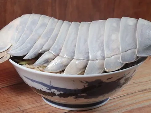 Món mì bọ biển khổng lồ gây sốt: 'Giá chát' nhưng thịt chắc như tôm hùm!