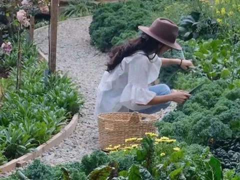 Cô gái 9X tự tay tạo “khu vườn năng lượng” sau khi gặp biến cố về sức khỏe