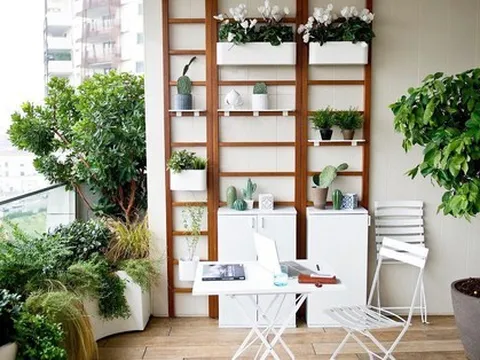Cách trồng cây cảnh hợp lý cho ban công nhỏ của chung cư
