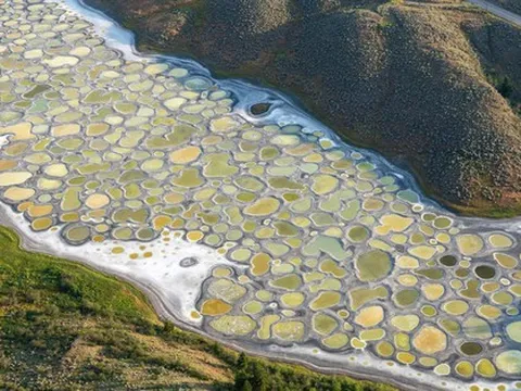 Hồ nước độc lạ nhất thế giới khiến những người mắc 'hội chứng sợ lỗ' phải rùng mình