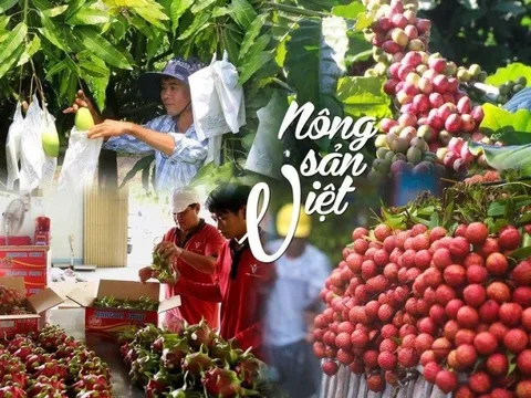 Nỗ lực tìm hướng đi bền vững cho nông sản chủ lực “xuất ngoại”