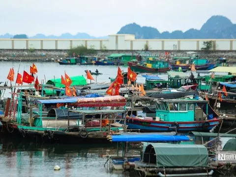 Kiểm điểm tổ chức, cá nhân để xảy ra sai phạm về chống khai thác IUU