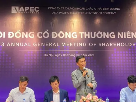 Chứng khoán APEC có thể lãi 400 - 500 tỷ đồng từ cổ phiếu IDJ và API